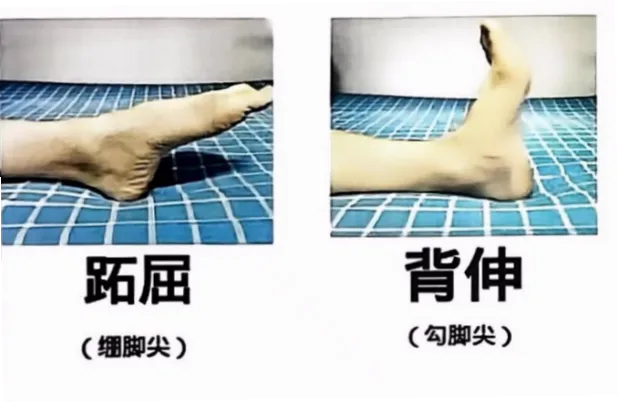 如何让脚背像鱼鳍一样推水？放松脚踝是关键
