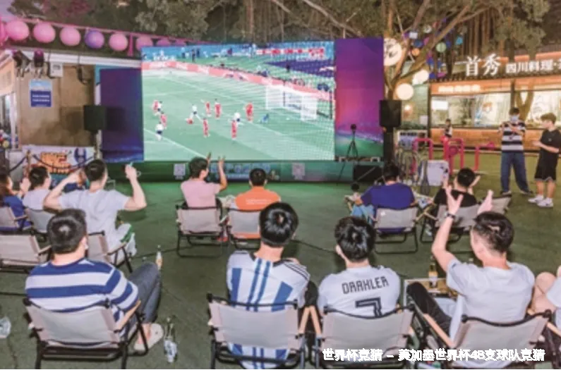 核心团队与专业资质